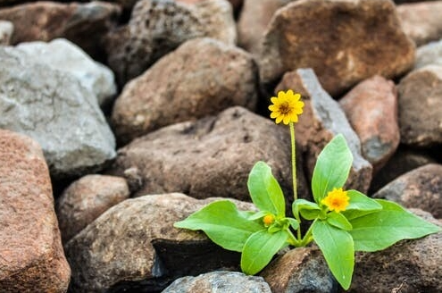 Use These Career & Life Strategies Today